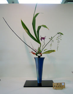 ���ԁE�V���́@���c�^�q��