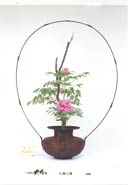 �r�V�����΂ȍ�i�Ⴛ��10