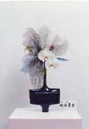 �r�V�����΂ȍ�i�Ⴛ�̂P6