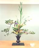 �r�V�����΂ȍ�i�Ⴛ�̂P4