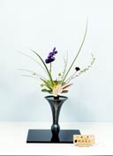 �r�V�����΂ȍ�i�Ⴛ�̂P5