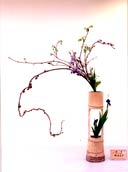 �r�V�����΂ȍ�i�Ⴛ�̂P8