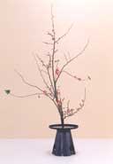 �r�V�����΂ȍ�i�Ⴛ��8