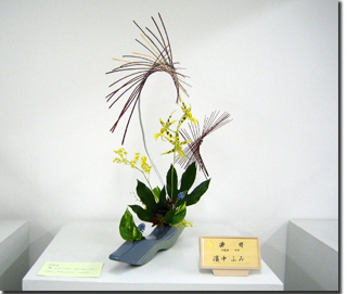 �r�V�����΂Ȗ��c���q�������k��i