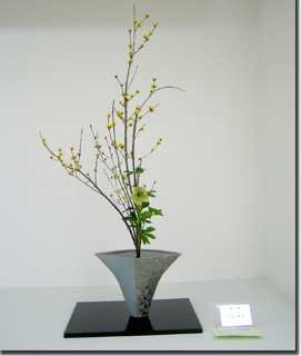 �r�V�����΂Ȗ��c���q�������k��i