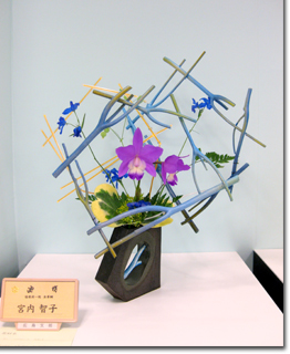 �r�V�����΂Ȗ��c���q�������k��i