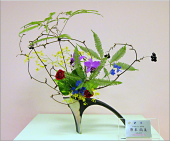 �r�V�����΂Ȗ��c���q�������k��i