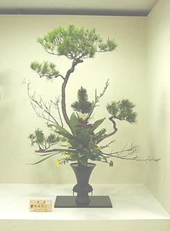 �r�V�����΂ȍL���x���ԓW��i�i����16�N3���j