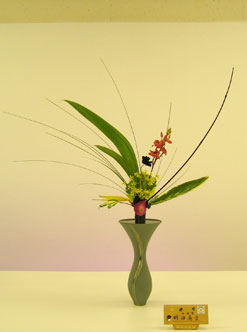 �r�V�����T���ԓW�o�i��i