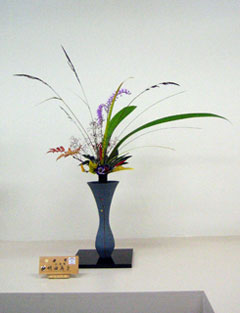 �r�V�S���ؓ��W�o�r��i�@����17�N11��