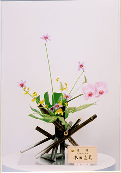 �r�V�����΂Ȗ��c�^�q����-�ؓc�@�����o�r��i