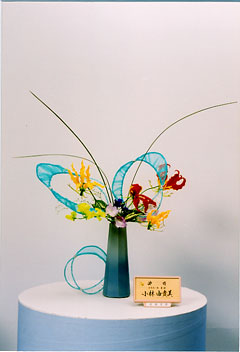 �r�V�����΂Ȗ��c�^�q����-���с@�R�M���o�r��i