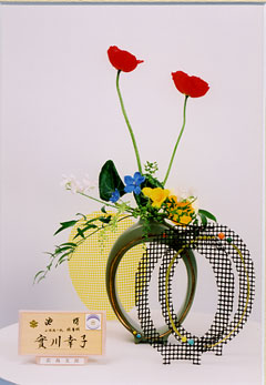 �r�V�����΂Ȗ��c�^�q����-����@�K�q�o�r��i