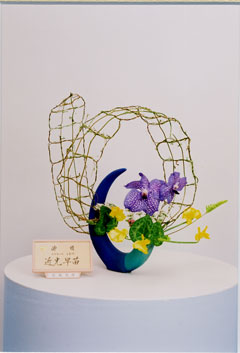 �r�V�����΂Ȗ��c�^�q����-�ߌ��@���c�o�r��i