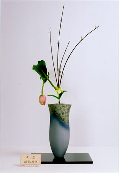 �r�V�����΂Ȗ��c�^�q����-���@�T�q�o�r��i