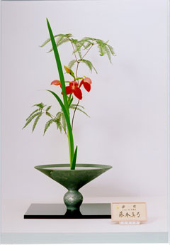 �r�V�����΂Ȗ��c�^�q����-���؁@�^�|�o�r��i