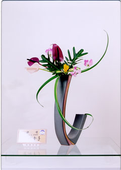 �r�V�����΂Ȗ��c�^�q����-����@�K�q�o�r��i