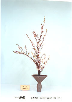 �r�V�����΂Ȗ��c�^�q����-�����@�a�]�o�r��i