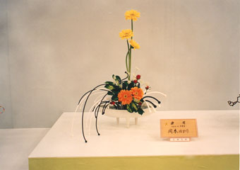 �r�V�����΂Ȗ��c�^�q����-���{�@�䂩��o�r��i