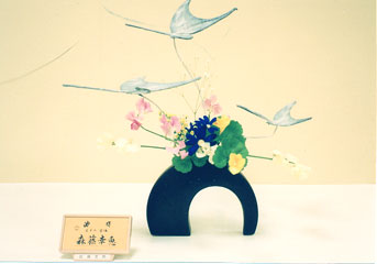 �r�V�����΂Ȗ��c�^�q����-�X���@�K�b�o�r��i