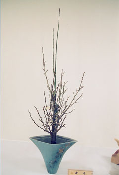 �r�V�����΂Ȗ��c�^�q����-�X���@�K�b�o�r��i