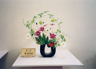 �r�V�����΂Ȗ��c�^�q����-�Ñ��@���}�o�r��i