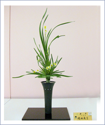 2010�����΂Ȓr�V�W