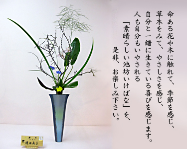 �r�V�����΂Ȗ��c���q�������k��W��