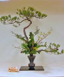 �r�V�S���ؓ��W�@���c���q�o�r��i