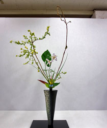 �L�������΂ȑ�\��ƓW�@���c���q�o�r��i