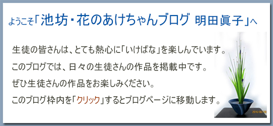 �r�V�E�Ԃ̖��������u���O���c���q